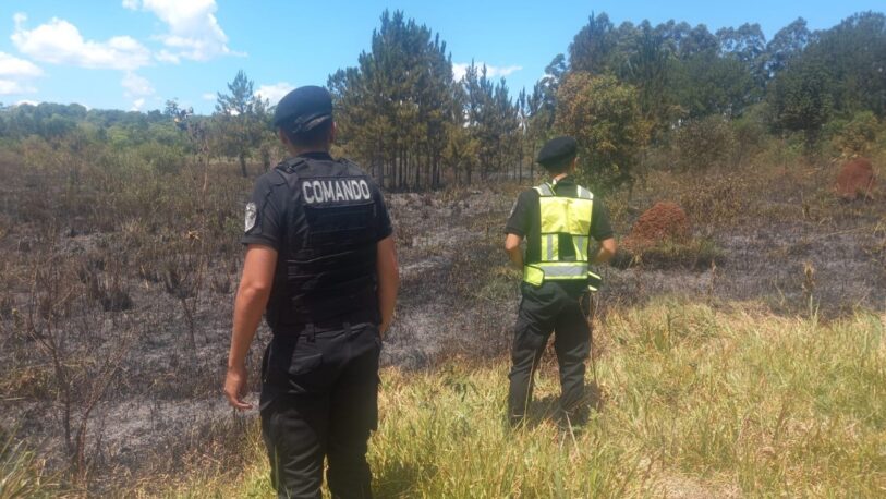 Se quemaron cinco hectáreas de pino y eucalipto