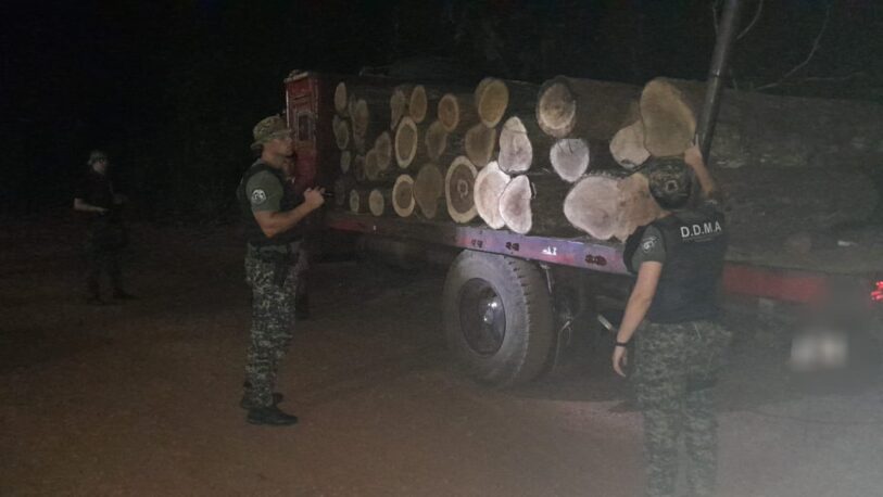 Frustraron el robo de madera nativa en una zona rural de San Pedro