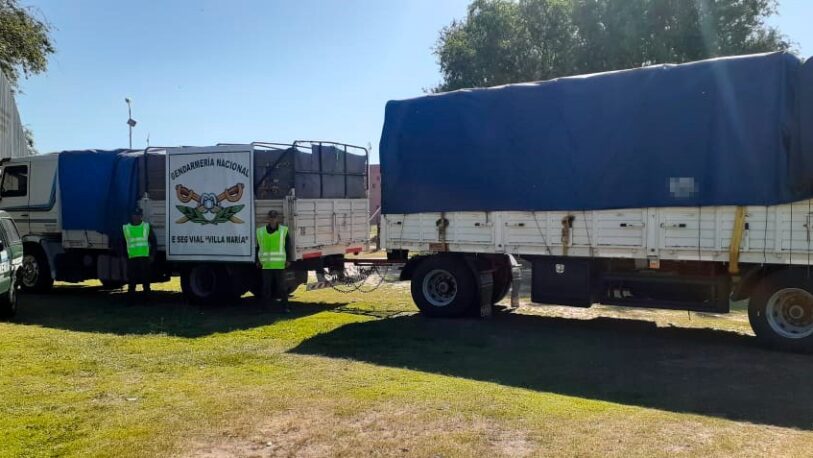 Secuestraron 47.780 kilos de soja entera a granel que era transportada hacia Misiones