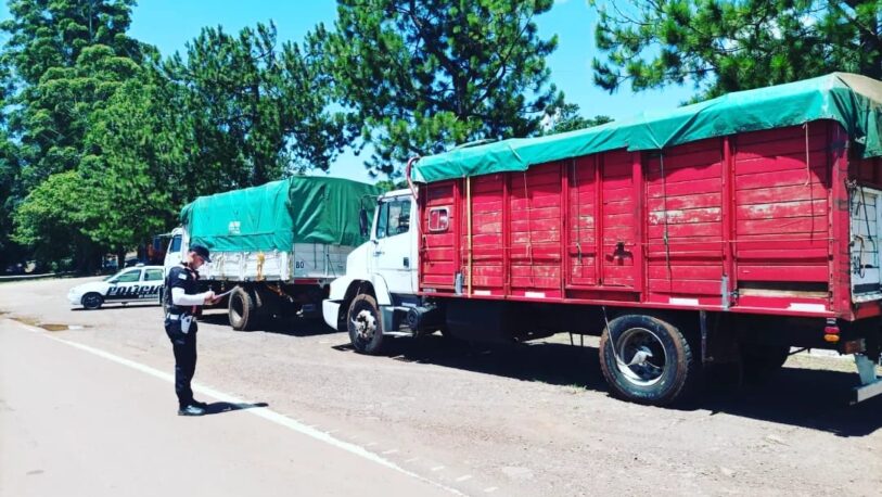 Secuestraron 8 camiones con cargas de granos que evadieron los controles de ingreso a la provincia