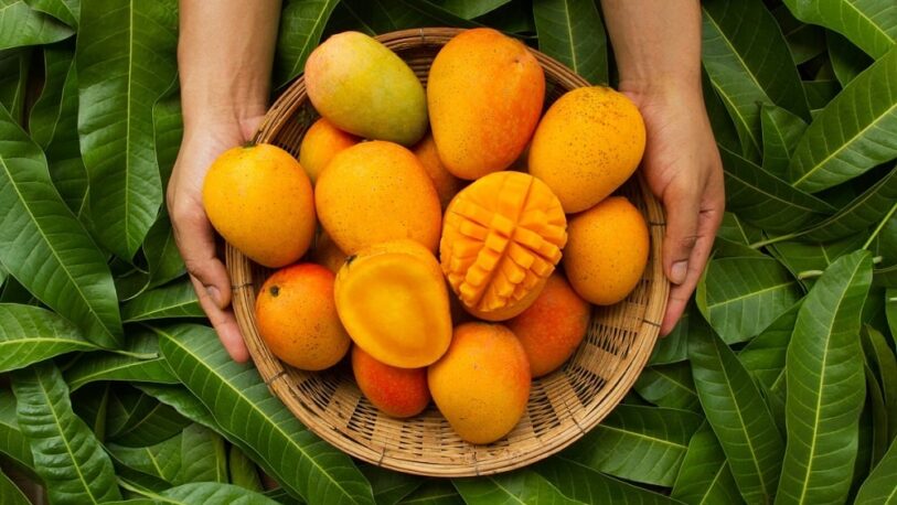 No tires la semilla de mango: 5 formas de reutilizarla