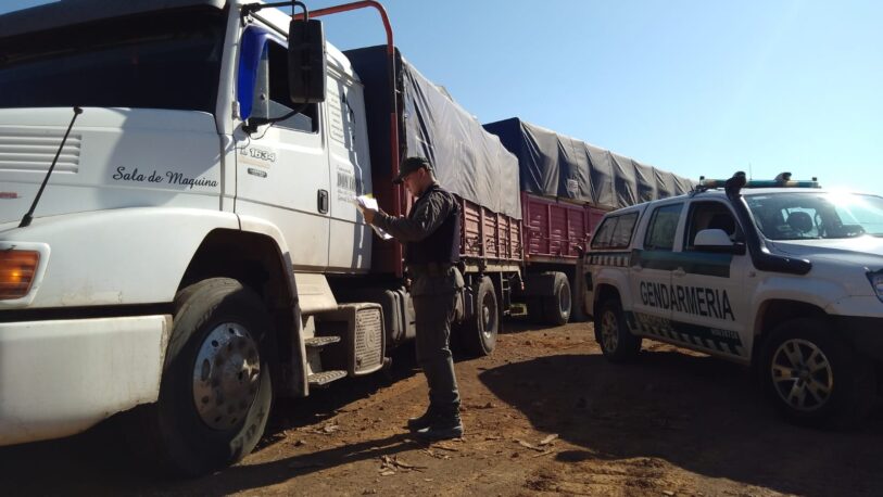 Secuestran dos camiones con más de 100 mil kilos de soja