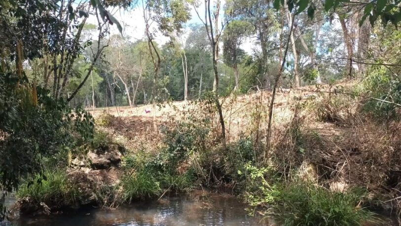 Desmonte arrasó con fajas ecológicas del Arroyo Alegre