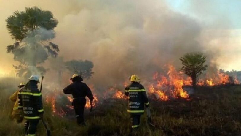 Se registraron 14 nuevos focos de incendios en Corrientes