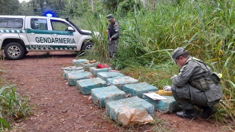 Secuestran 311 kilos de marihuana que narcotraficantes abandonaron en Colonia Delicia