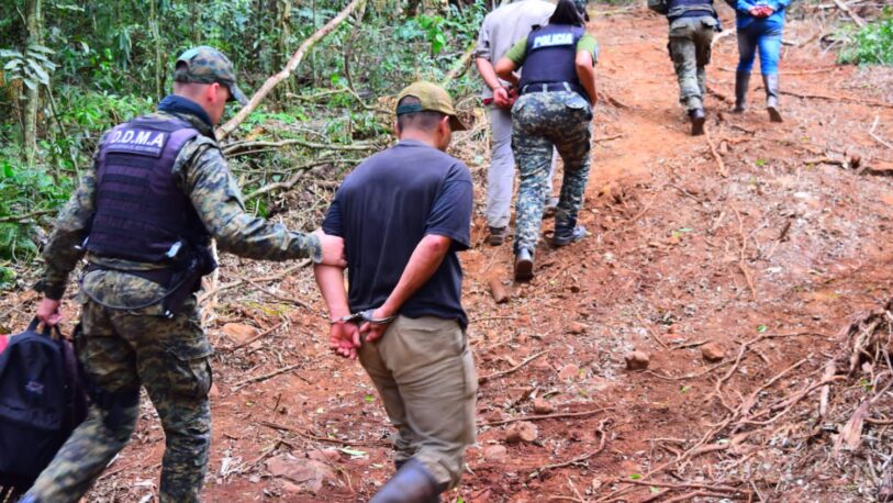 San Pedro: Detuvieron a cinco hombres armados que realizaban apeo ilegal en un lote privado