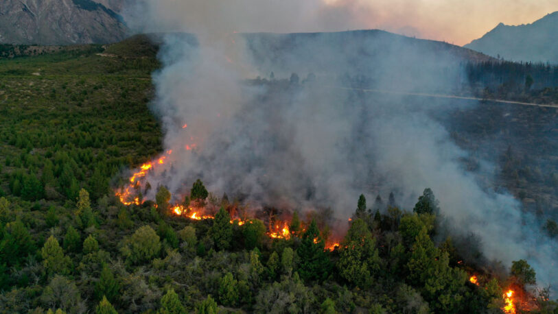 Impresionante incendio forestal en El Bolsón