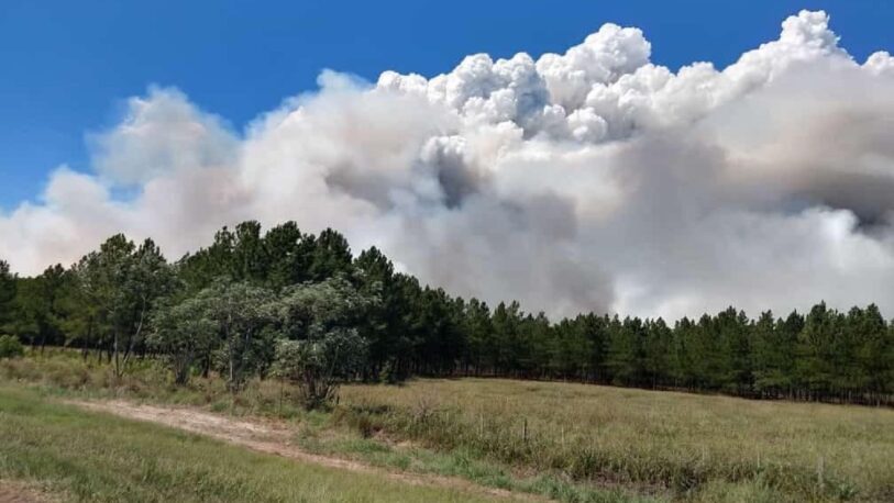 Corrientes: el fuego consumió unas 3 mil hectáreas de vegetación