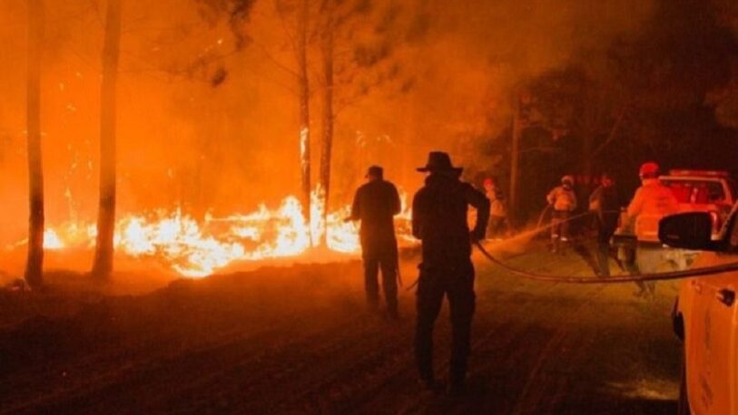 Incendio en una zona de Ituzaingó consumió miles de hectáreas: Se espera el resultado del peritaje