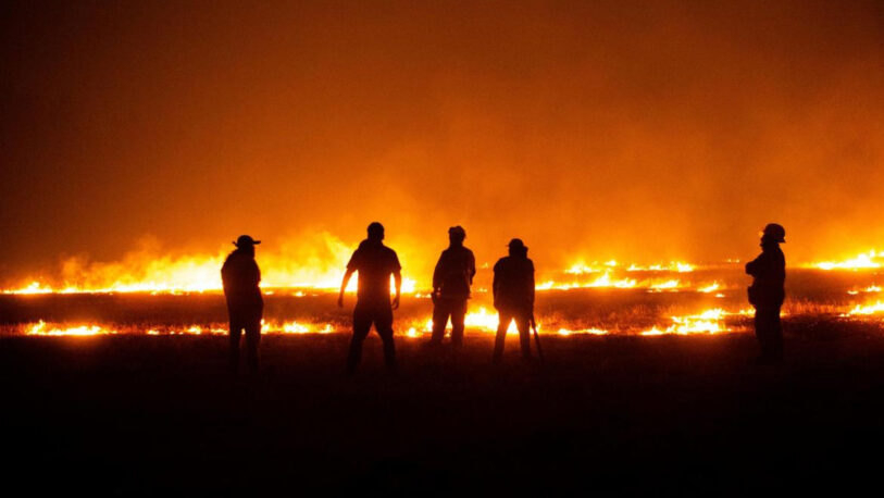 Chile en alerta máxima: al menos veinte focos de incendios forestales fuera de control