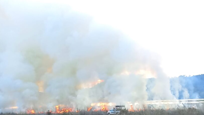 Incendio en la costa del Paraná