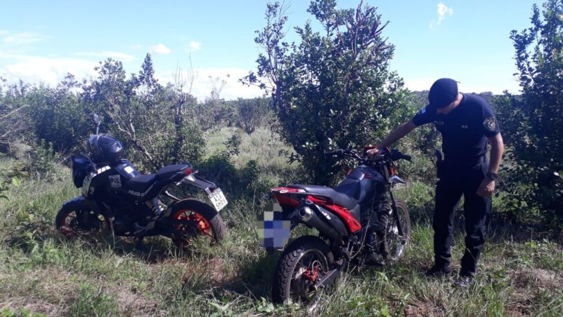 Recuperaron una moto robada que estaba oculta en el monte