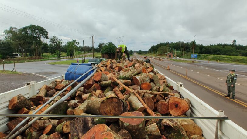 Tala ilegal en Misiones: detuvieron un camión que transportaba madera nativa