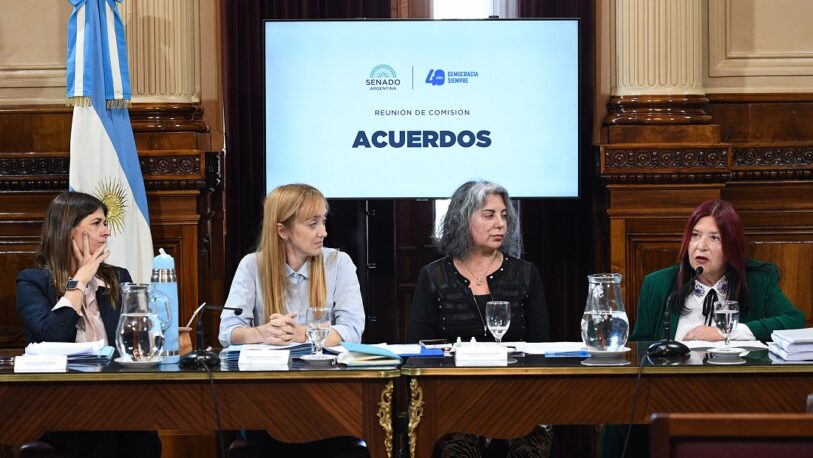 La jueza que debe definir si Cristina Kirchner va a juicio habló de “causas armadas” y “ensañamiento” contra la Vice