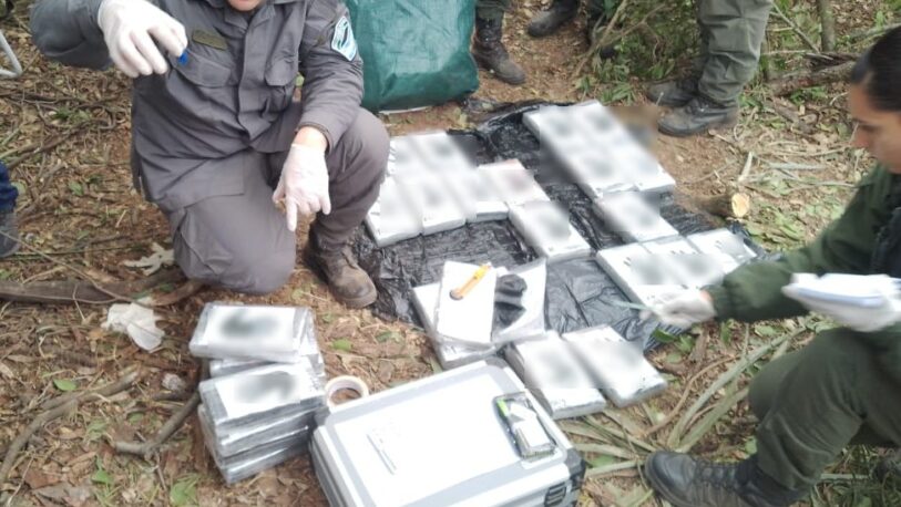Encontraron 32 kilos de cocaína pertenecientes a la avioneta caída en Chaco