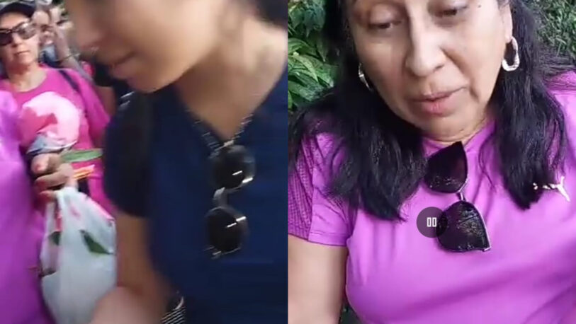 Una mujer quiso llevarse orquídeas en el Parque Nacional Iguazú y quedó expuesta