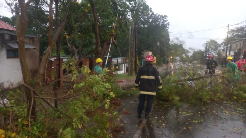 La intensa lluvia en Posadas dejó daños en algunas viviendas y caídas de árboles