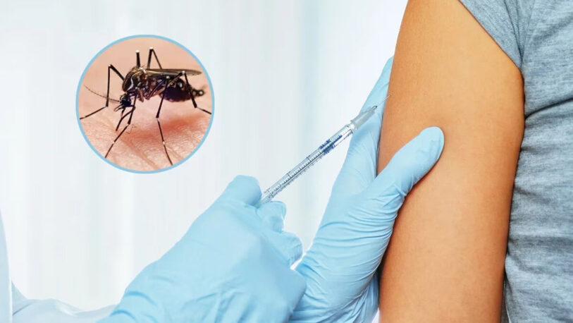 Vacuna contra el dengue: cuándo llega al país y quiénes podrán recibirla