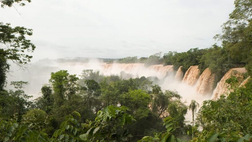 Esperan por la pronta reapertura del Parque Nacional Iguazú