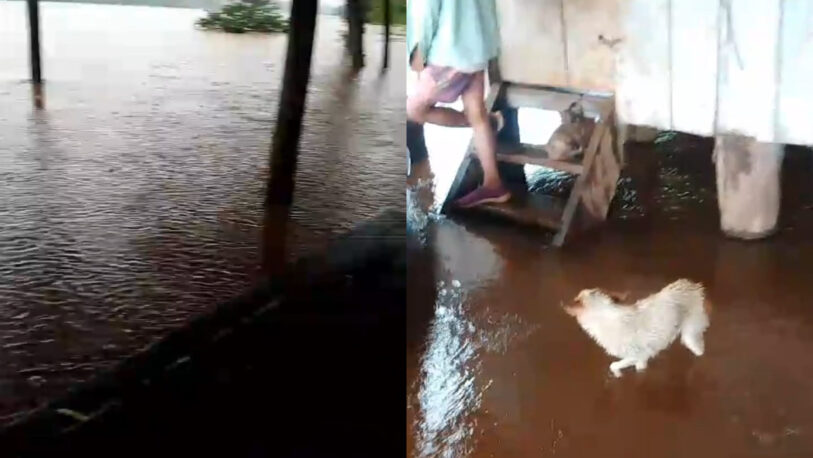 Comunidad mbya de Puerto Leoni afectada por las inundaciones necesita ayuda