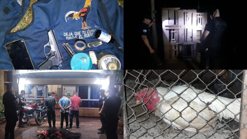 Intervención policial en Campo Grande desbarató una red clandestina de riñas de gallos