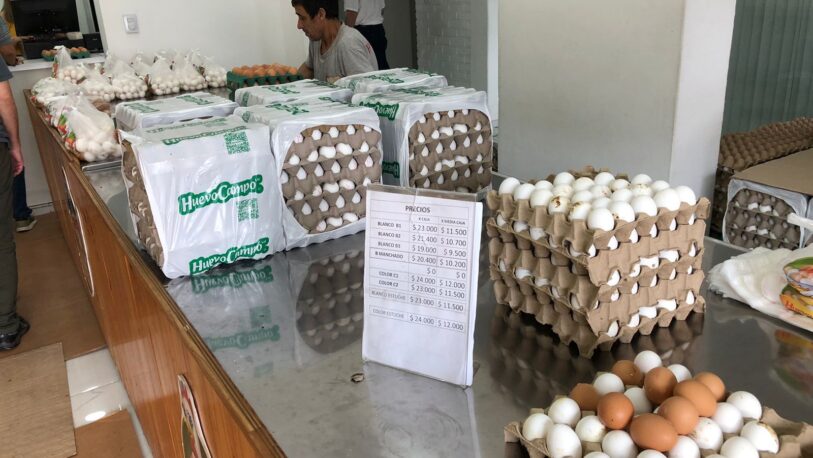 El mercado de huevos mantiene precios accesibles y demanda firme