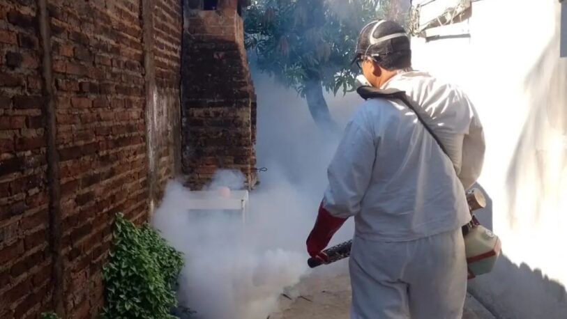 Dengue: Desde Activar piden informes sobre la situación epidemiológica en Misiones