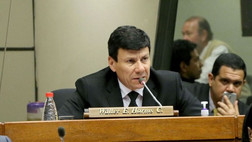 El diputado paraguayo Walter Harms murió en un accidente aéreo