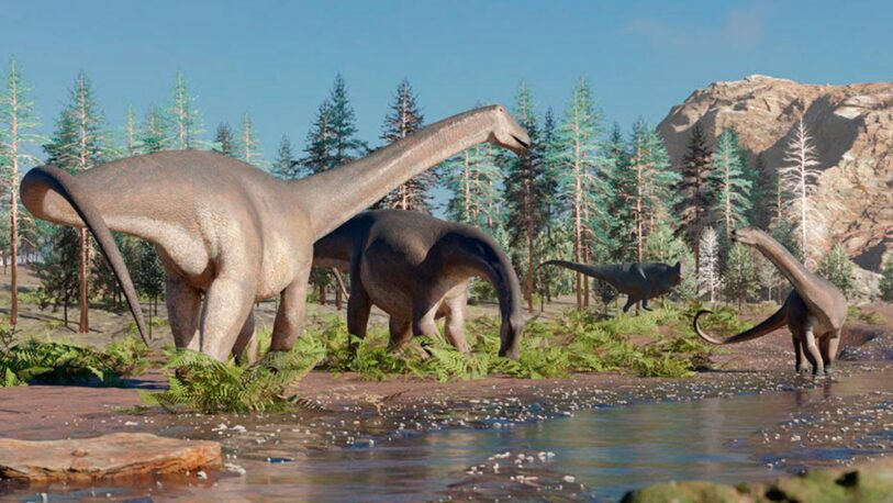 Hallaron una nueva especie de dinosaurio herbívoro de cuello largo