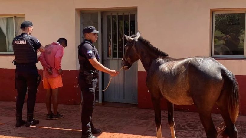 Le robó el caballo a su vecino y terminó detenido