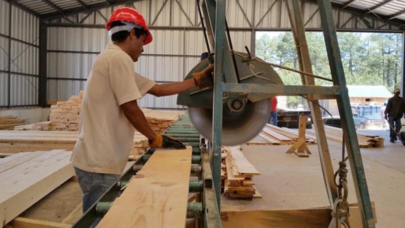 Empresarios madereros rechazan el paro de la CGT