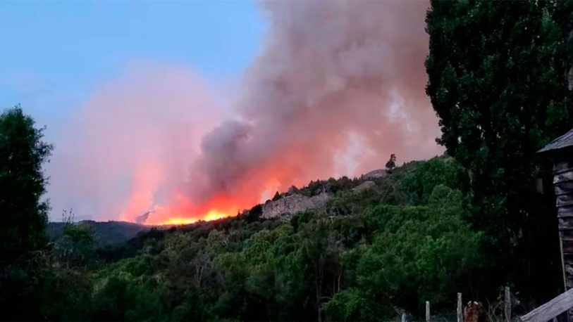 Patagonia: el fuego ya arrasó casi 600 hectáreas del Parque Los Alerces