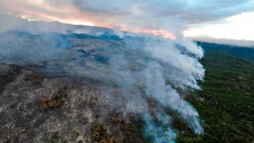 El incendio en el Parque Nacional Los Alerces destruyó casi 8.000 hectáreas