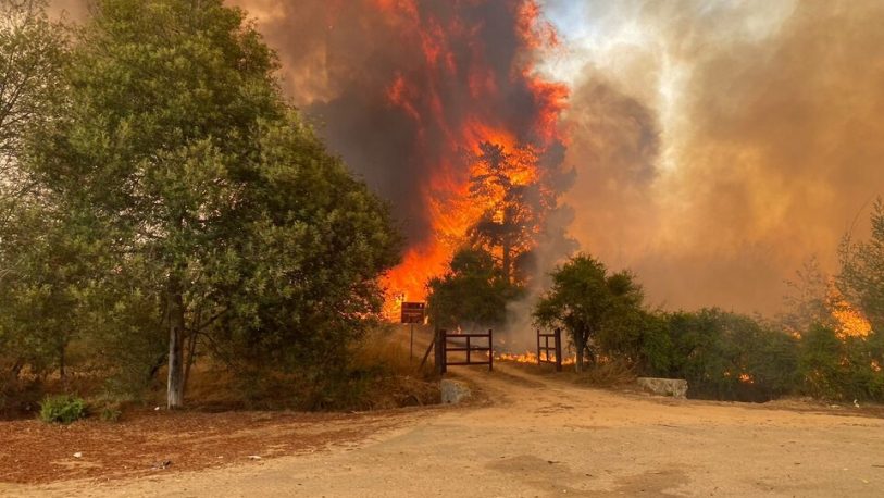 Incendios forestales en Chile: aumentan a 64 los fallecidos y prevén más muertos
