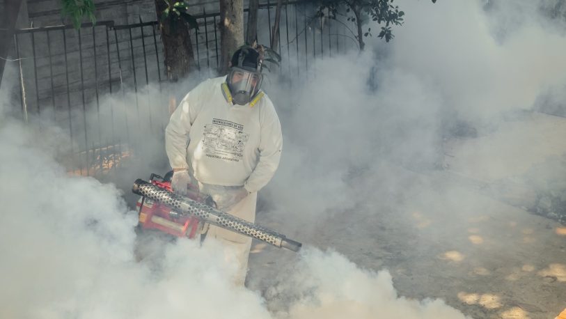 Dengue en Argentina: ya son 79 los muertos y más de 120 mil casos