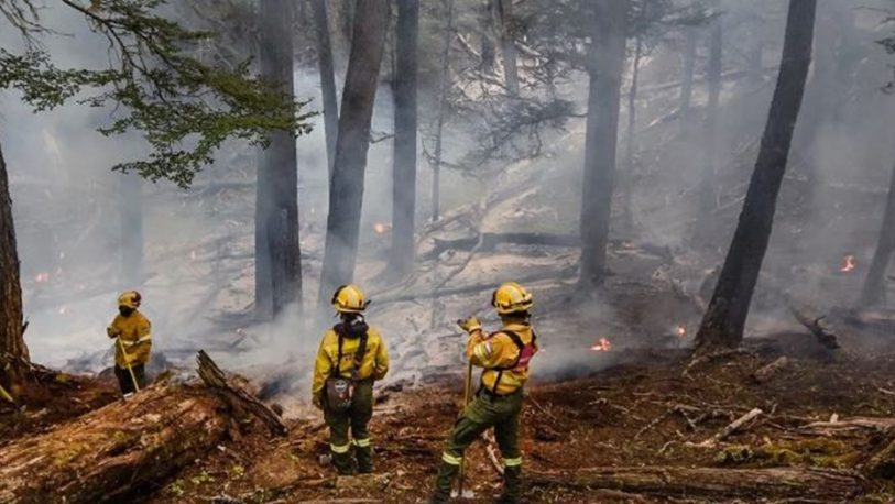 El fuego ya arrasó más de 2.300 hectáreas en el Parque Nacional Los Alerces