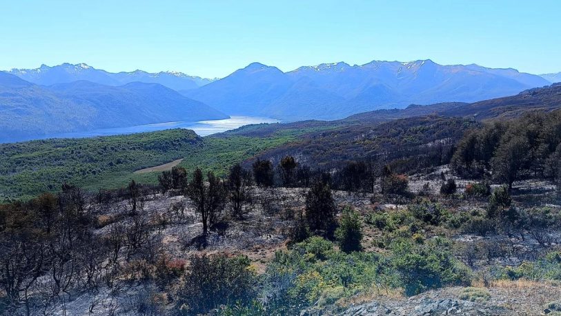 Lograron controlar el incendio del Parque Nacional Los Alerces