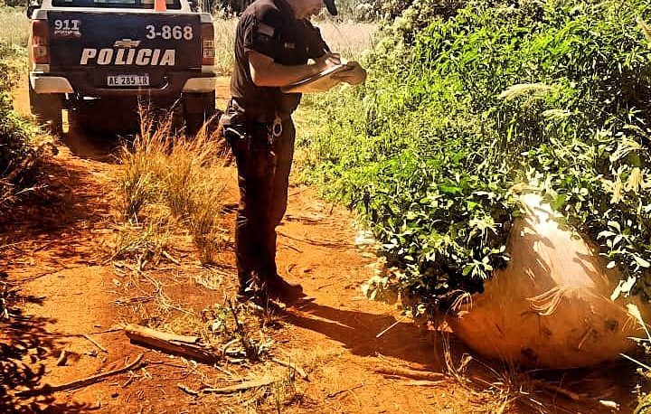 Falsos tareferos intentaron robar 300 kilos de yerba