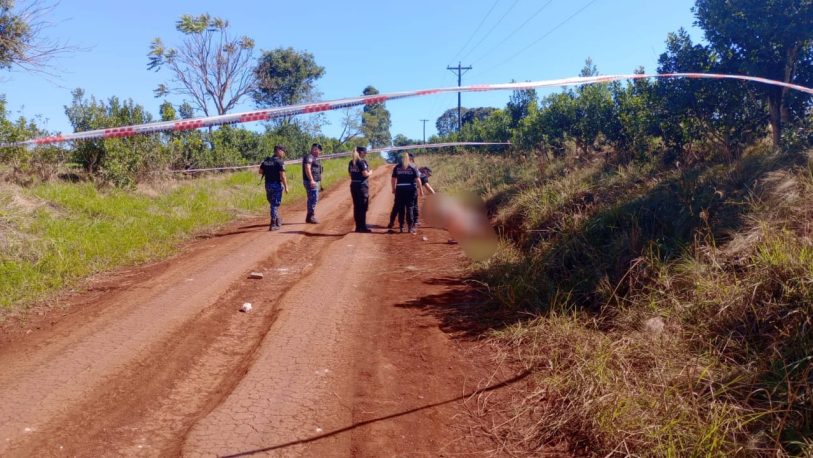 Campo Viera: dos pitbulls atacaron y mataron a un policía retirado