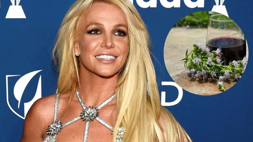 Britney Spears elogió un vino argentino y las redes sociales estallaron