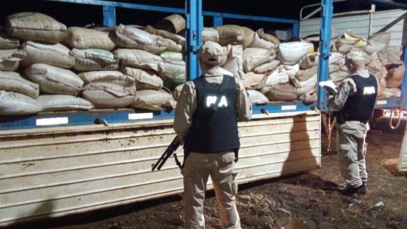 Secuestraron casi ocho toneladas de soja que iban a ser exportadas de manera ilegal