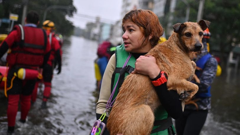 Inundaciones en Brasil: más de 80.000 personas fueron rescatadas de sus casas