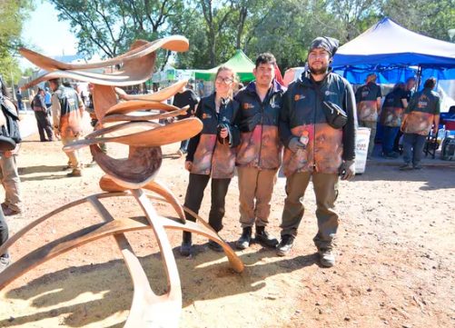 La obra “Impermanencia en la Naturaleza” de Misiones ganó el Premio Desafío